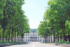 トレンドウオッチ | 日経電子版広告特集一覧